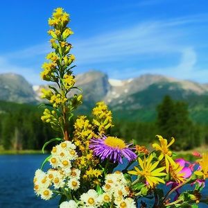 Meet your Posher, Nancy